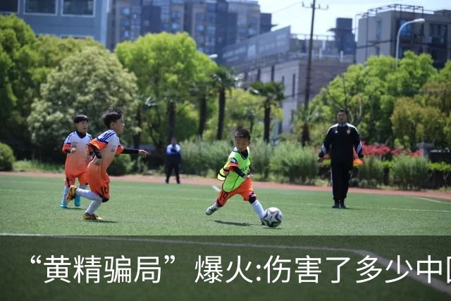 “黄精骗局”爆火:伤害了多少中国人……