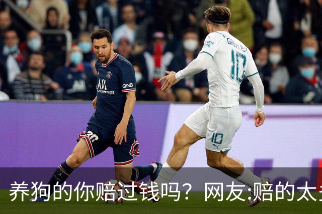 养狗的你赔过钱吗？网友:赔的太多了，它的身价蹭蹭往上涨