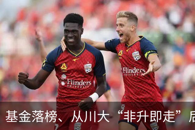 基金落榜、从川大“非升即走”后，这个博士被B站10万网友捧成“真大佬”