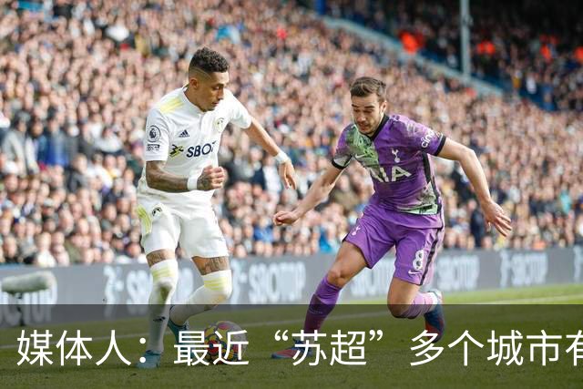 媒体人：最近“苏超”多个城市有走职业+青训的想法