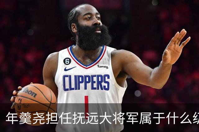 年羹尧担任抚远大将军属于什么级别？与大学士和军机大臣相比如何？
