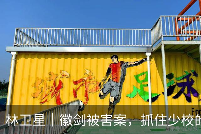 林卫星｜徽剑被害案，抓住少校的几个线头：是谁给主犯请的律师？