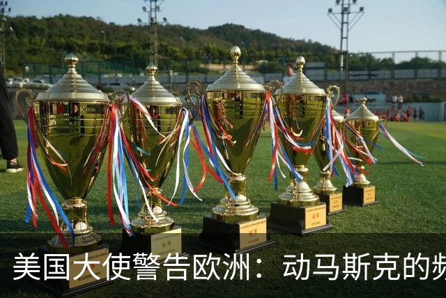 美国大使警告欧洲：动马斯克的频谱，就拿保时捷和LV的真金白银换