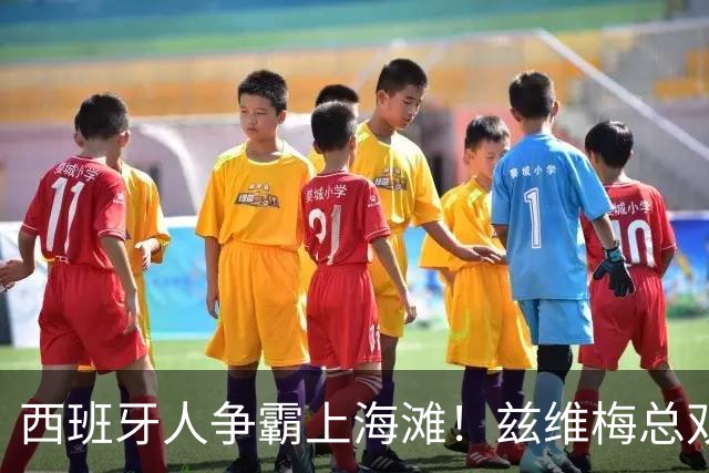 西班牙人争霸上海滩！兹维梅总双出局！