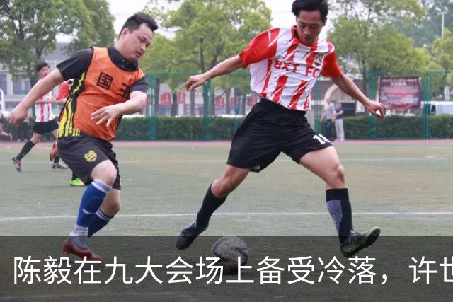 陈毅在九大会场上备受冷落，许世友：陈老总，我有礼物送给你