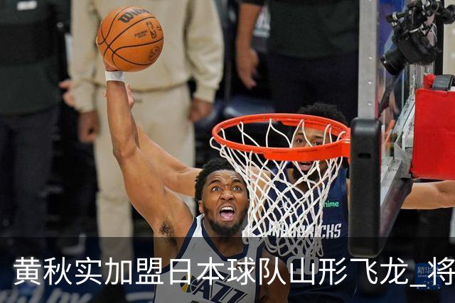 黄秋实加盟日本球队山形飞龙 将以亚洲外援身份为球队出战B1联赛