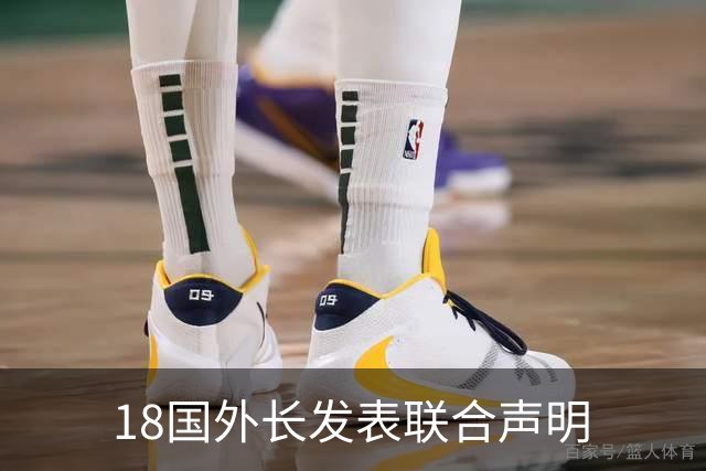 18国外长发表联合声明